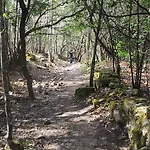 乡村民宿 El Capricho