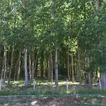 乡村民宿 El Capricho Águeda del Caudillo
