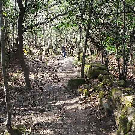 Hétvégi ház El Capricho