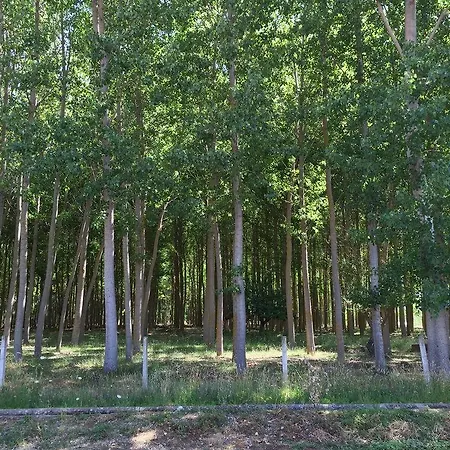 Gospodarstwo wiejskie El Capricho Águeda del Caudillo