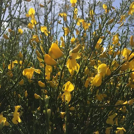 El Capricho Hétvégi ház