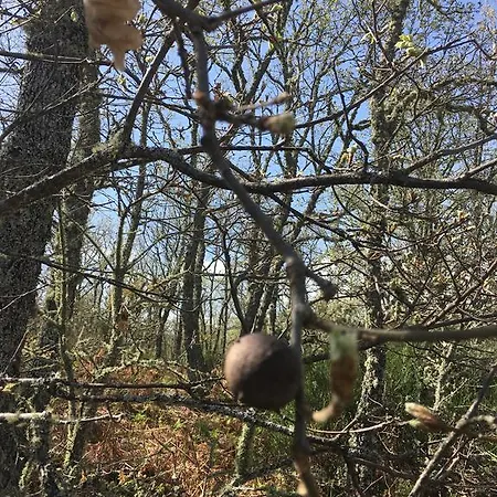 Hétvégi ház El Capricho Águeda del Caudillo