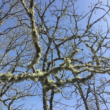El Capricho カントリーハウス Águeda del Caudillo