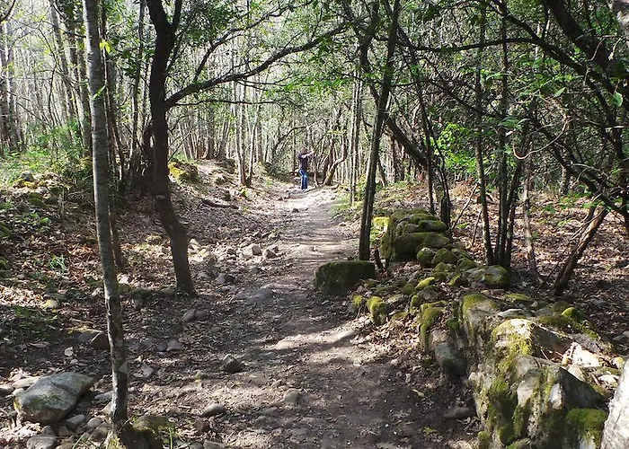 컨트리하우스 El Capricho