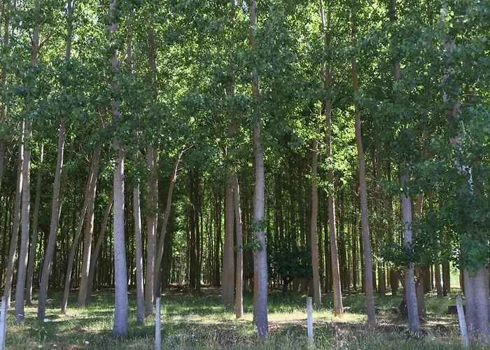 컨트리하우스 El Capricho Águeda del Caudillo