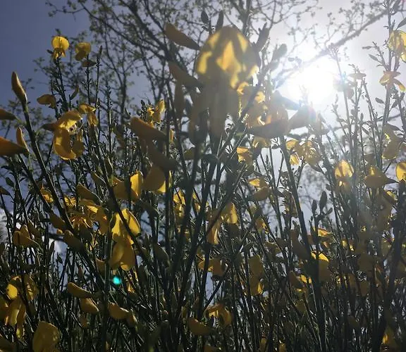 El Capricho Águeda del Caudillo