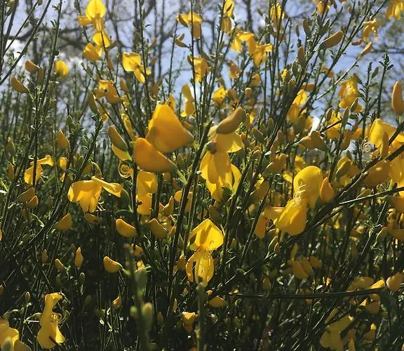 El Capricho 컨트리하우스