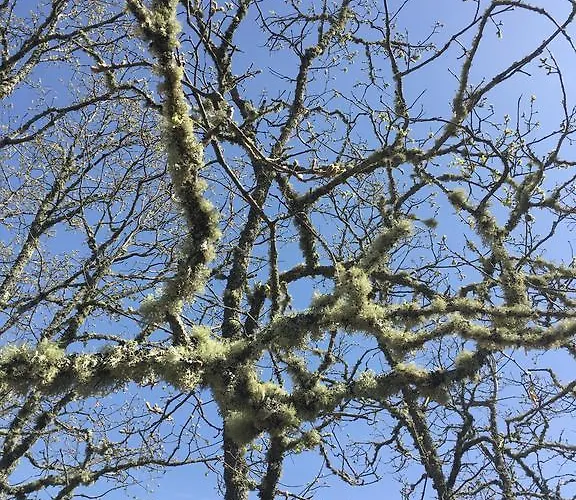 El Capricho 컨트리하우스 Águeda del Caudillo